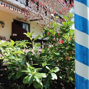 Birkenhof Pension Mit Herz